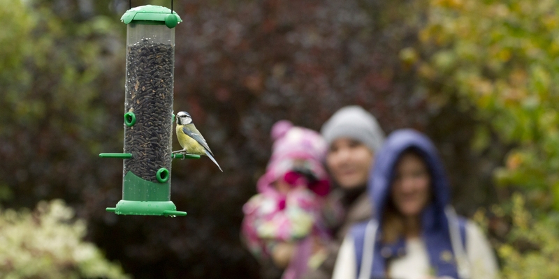 LPO comptage oiseaux