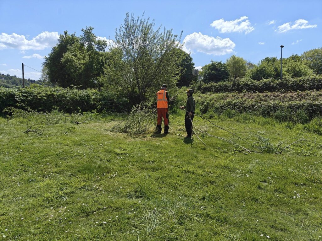 Chantier camping 2