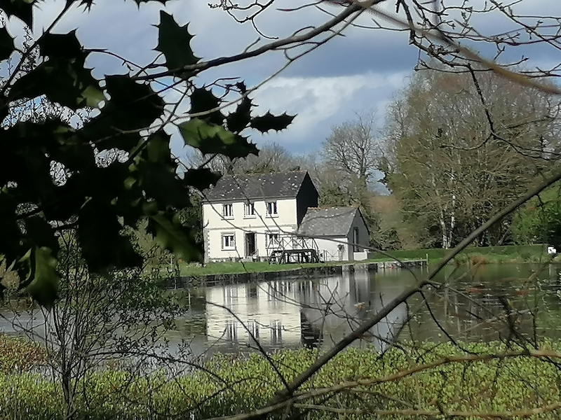 Gîte ty Créharer